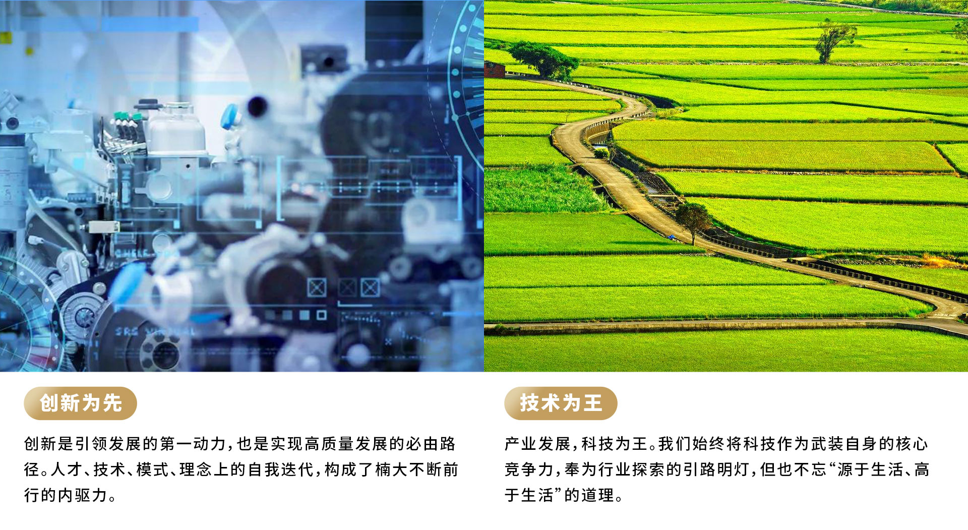 &#20061;&#28216;&#24179;&#21488;&#45;&#20061;&#28216;&#111;&#110;&#108;&#105;&#110;&#101;&#40;&#20013;&#22269;&#41;